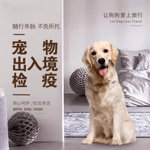 北京市宠物托运到哥伦比亚猫狗宠物入境规定和