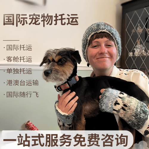 北京市国际宠物托运到阿根廷宠物入境规定和要