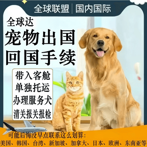 北京市宠物托运到柬埔寨宠物入境规定和要求