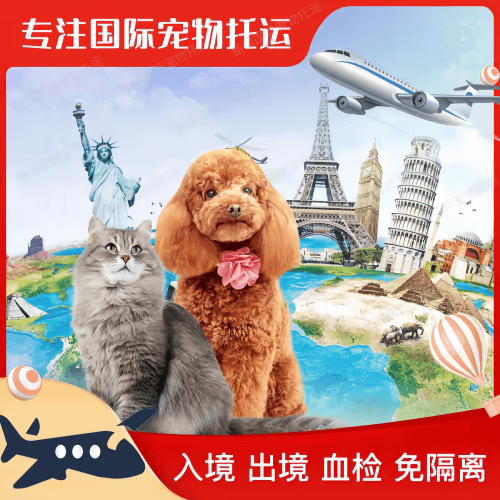 北京市宠物托运到美国宠物入境最新规定和要求