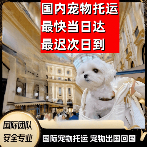 北京市到澳大利亚（澳洲）宠物入境规定和要求